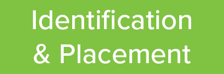 CogAT Equity Identification Placement