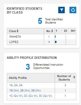 Identified low-scoring students by class; ability profile distribution groups below